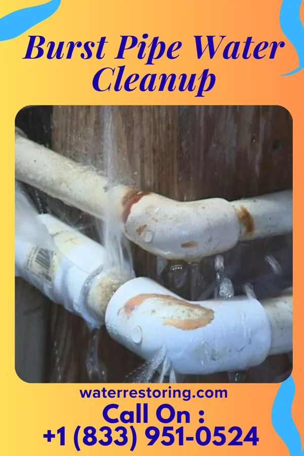 Burst Pipe Water Cleanup in De Soto, MO