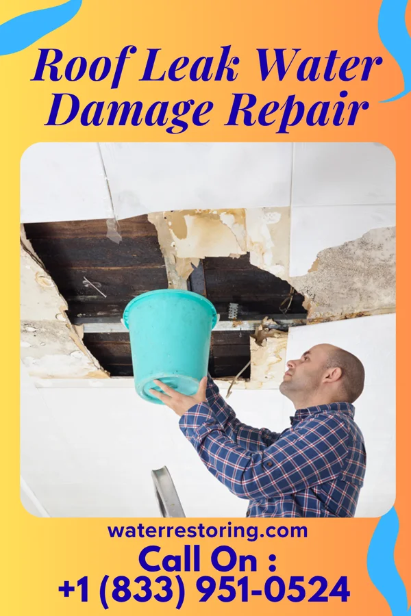 Roof Leak Water Damage Repair in De Soto, MO