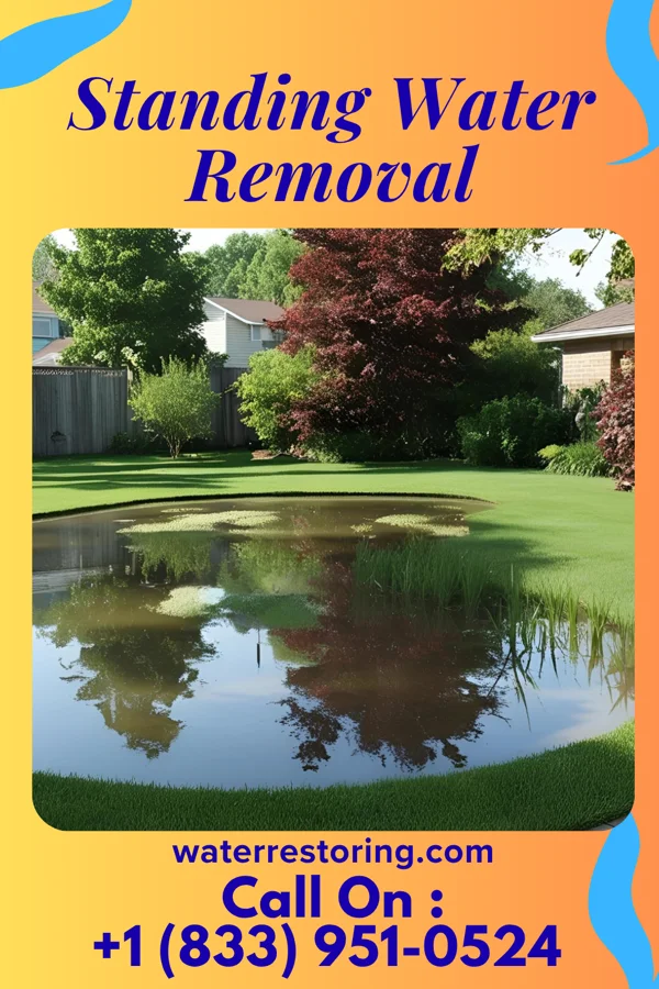 Standing Water Removal in De Soto, MO